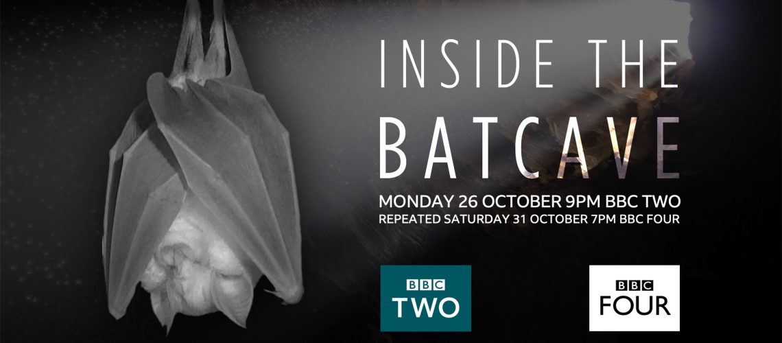 Inside the Bat Cave VWT greater horseshoe bat reserve features in new