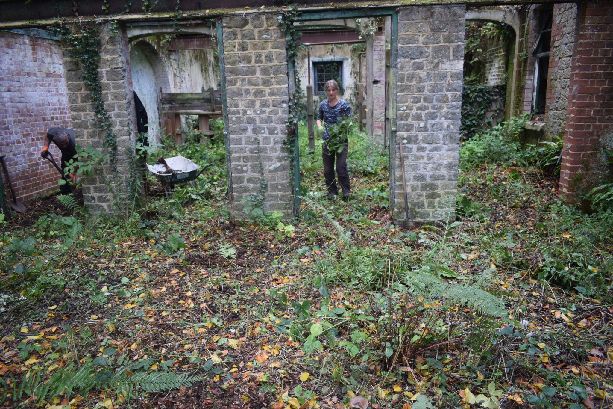 One more step towards a safe haven for greater horseshoe bats – The